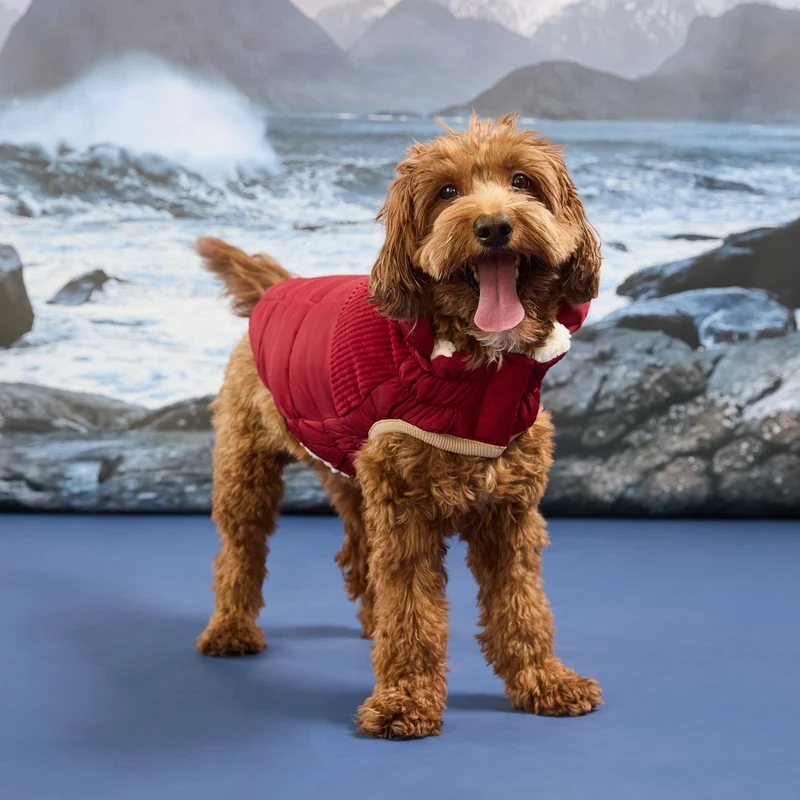 Cold Mountain Puffer | Cherry Frost