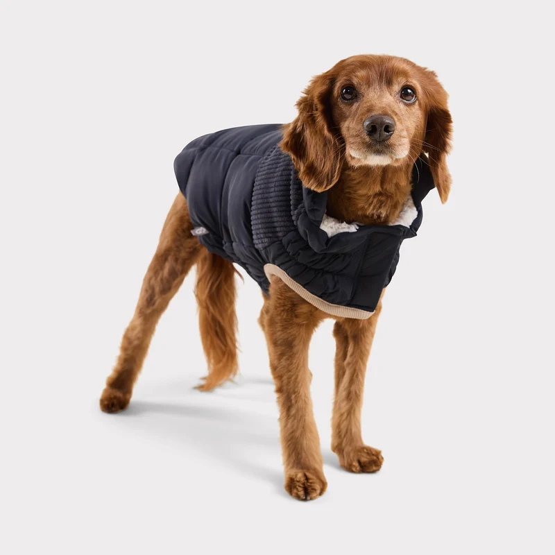 Cold Mountain Puffer | Vintage Navy