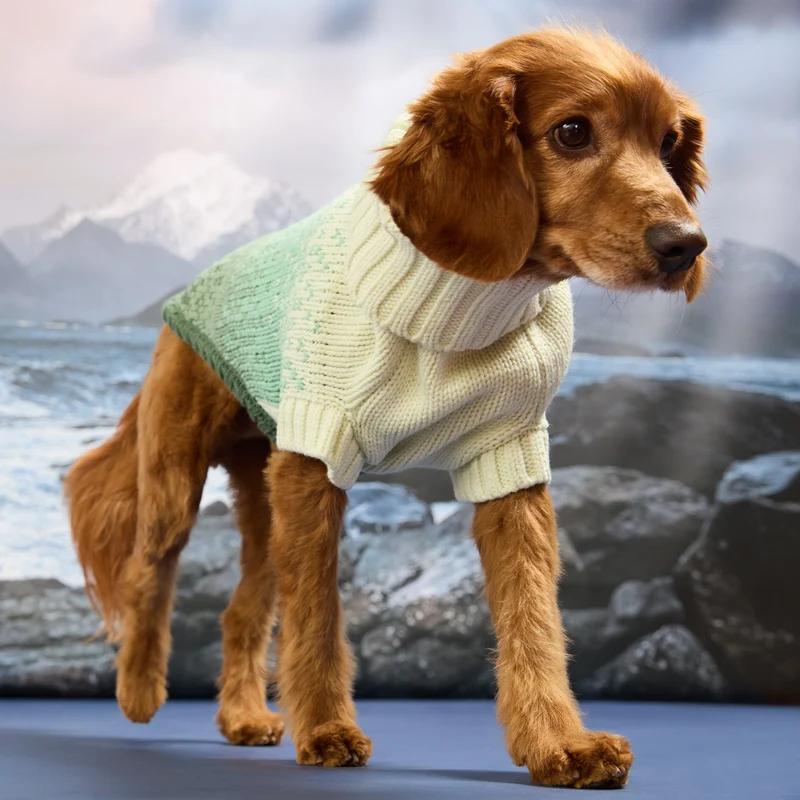 Fisherman Sweater | Green Bay