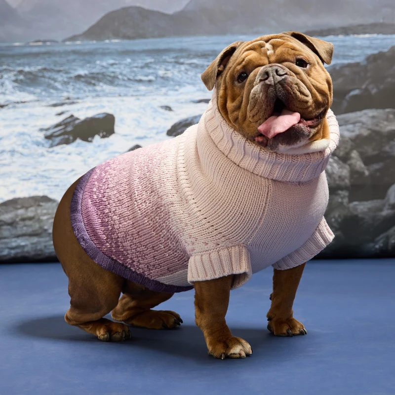 Fisherman Sweater | Harbor Plum