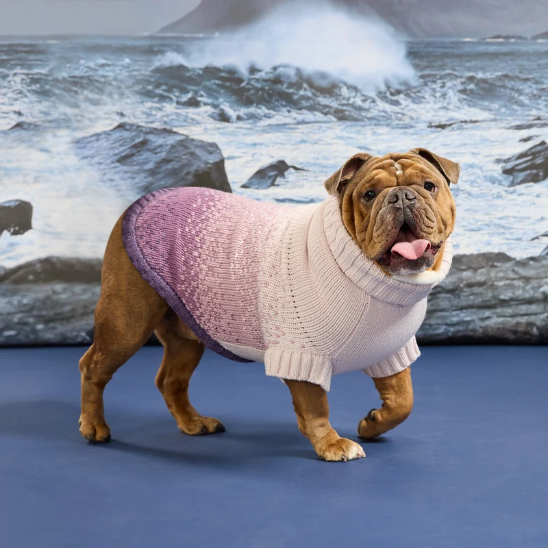 Fisherman Sweater | Harbor Plum