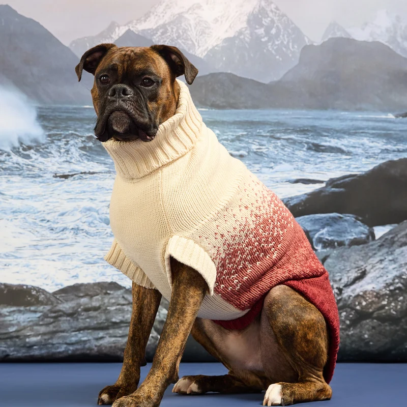 Fisherman Sweater | Portside Red