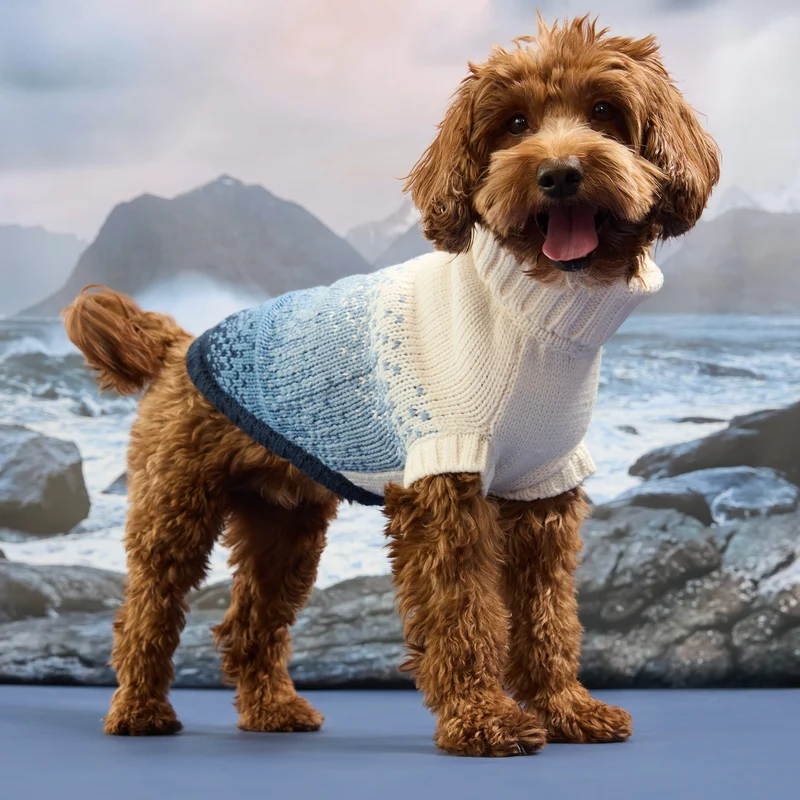 Fisherman Sweater | Sailor Blue