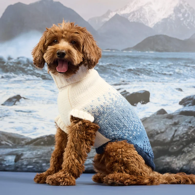 Fisherman Sweater | Sailor Blue