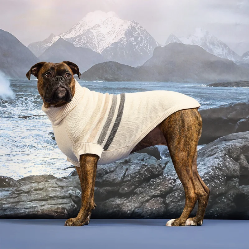 The Coastline Knit Sweater | Beachwood