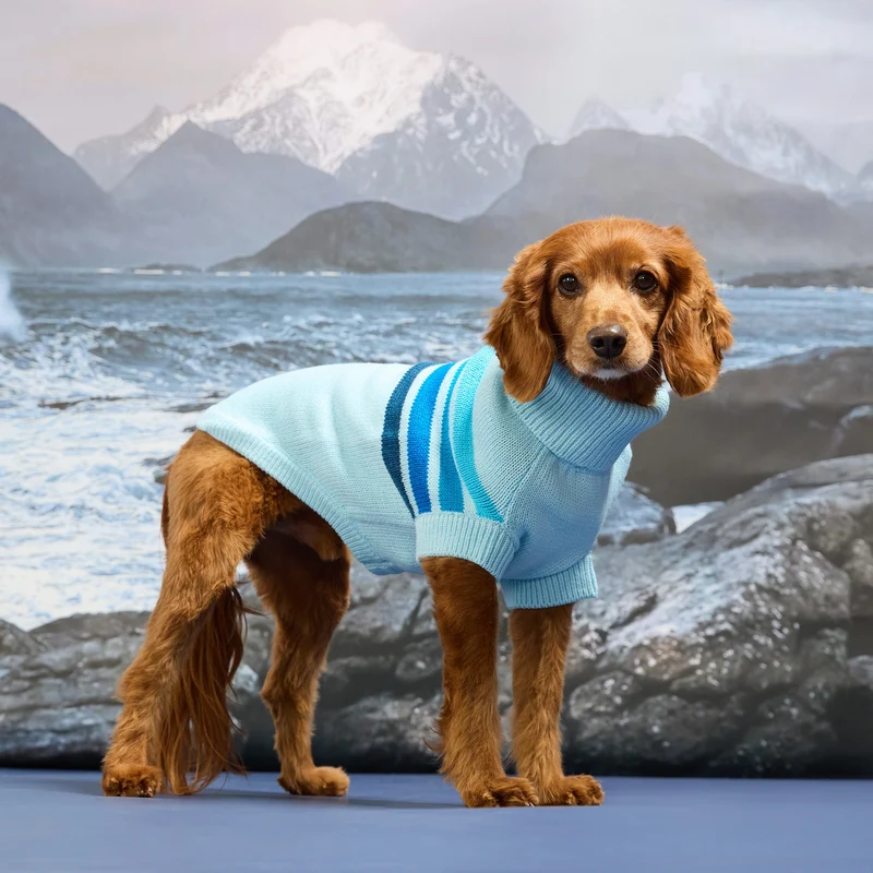 The Coastline Knit Sweater | Blue Ice