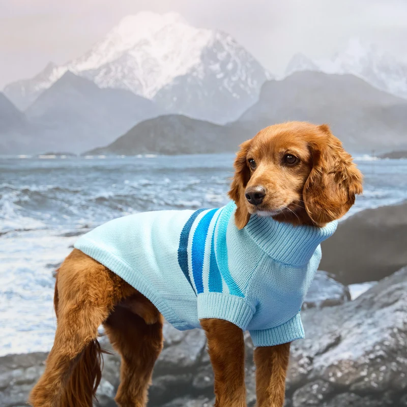 The Coastline Knit Sweater | Blue Ice