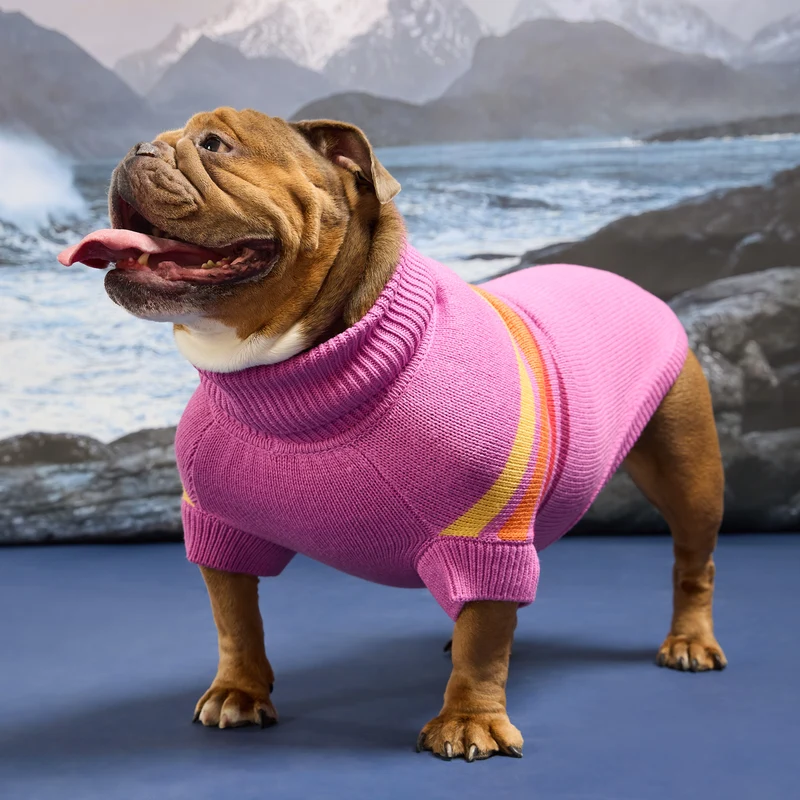 The Coastline Knit Sweater | Pink Wave