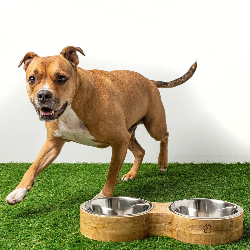 Figure-8 Pet Feeder