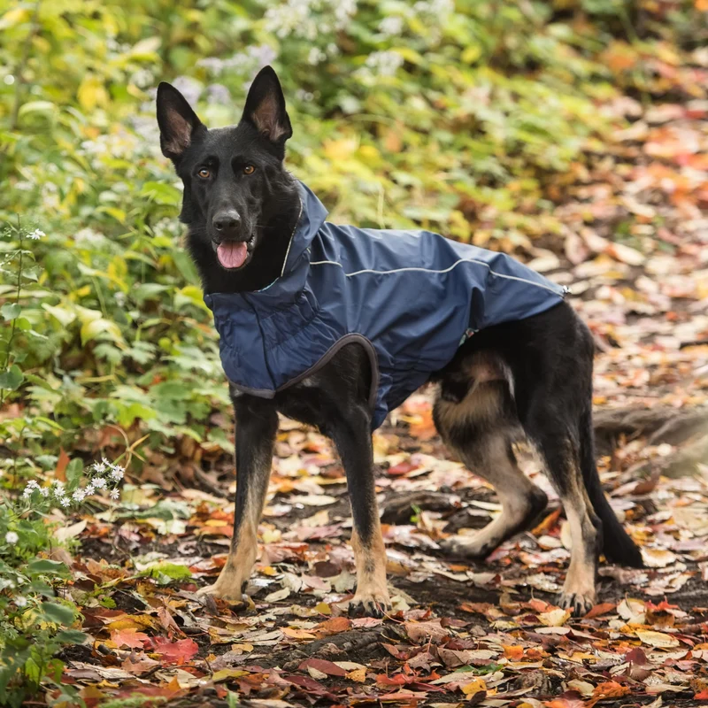 Reversible Dog Raincoat | Navy Plaid