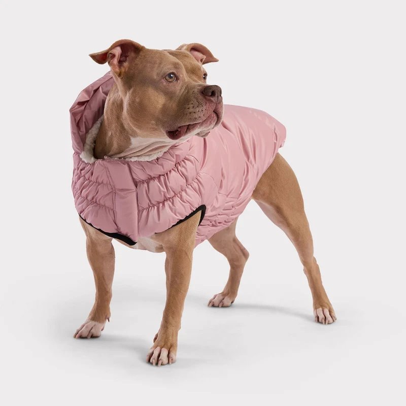 Lunar Glow Dog Parka | Pink