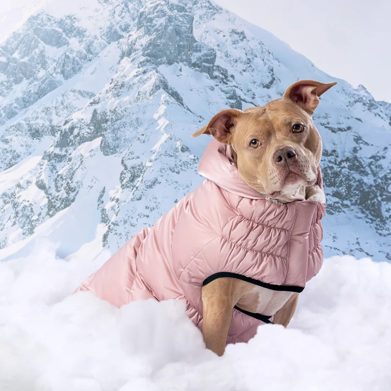 Lunar Glow Dog Parka | Pink