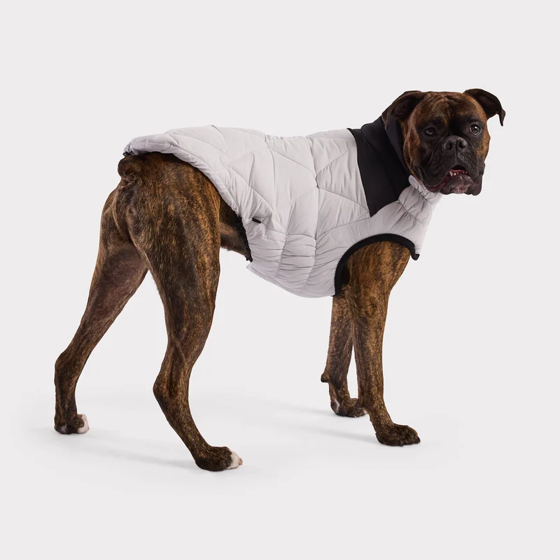 Diamond Dog Puffer | Grey