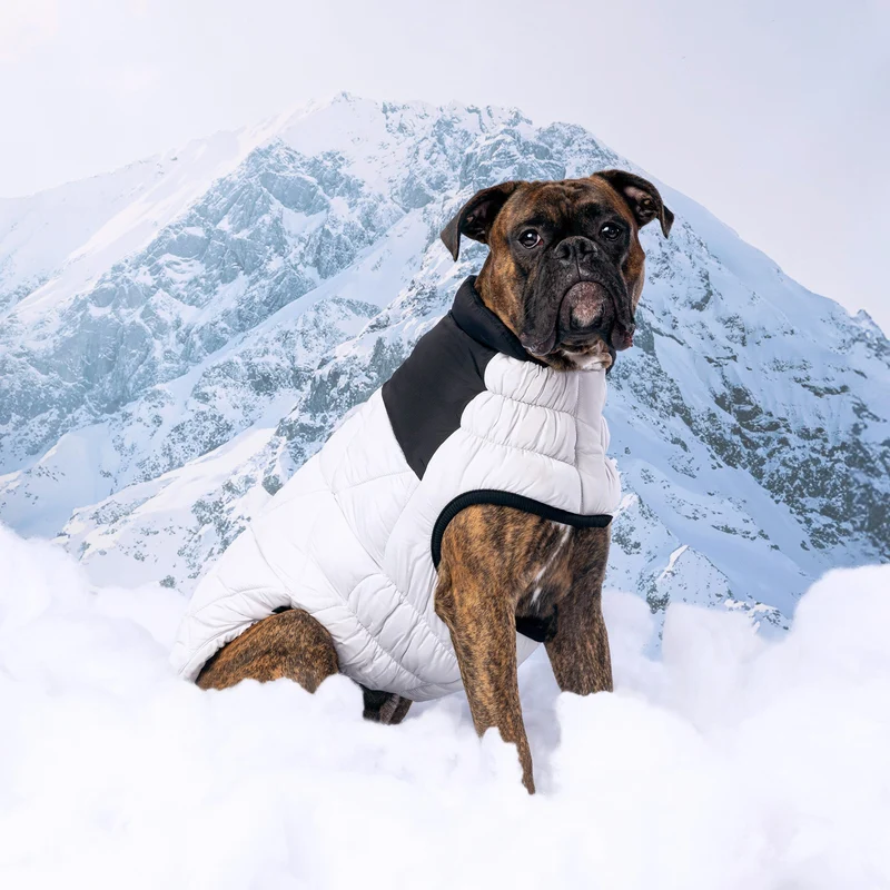 Diamond Dog Puffer | Grey