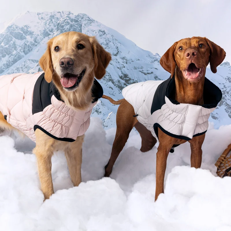Diamond Dog Puffer | Grey