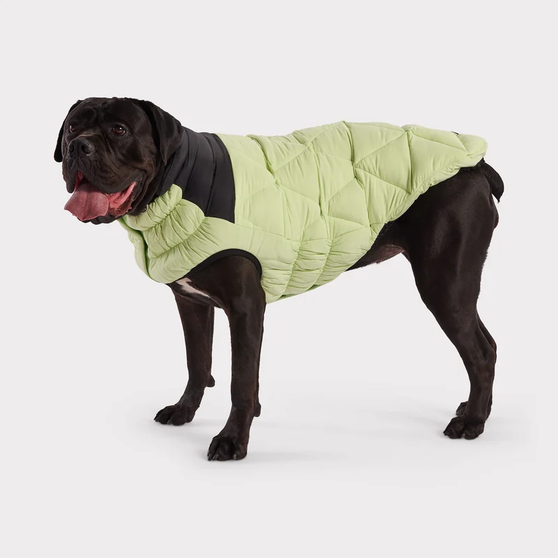 Diamond Dog Puffer | Green