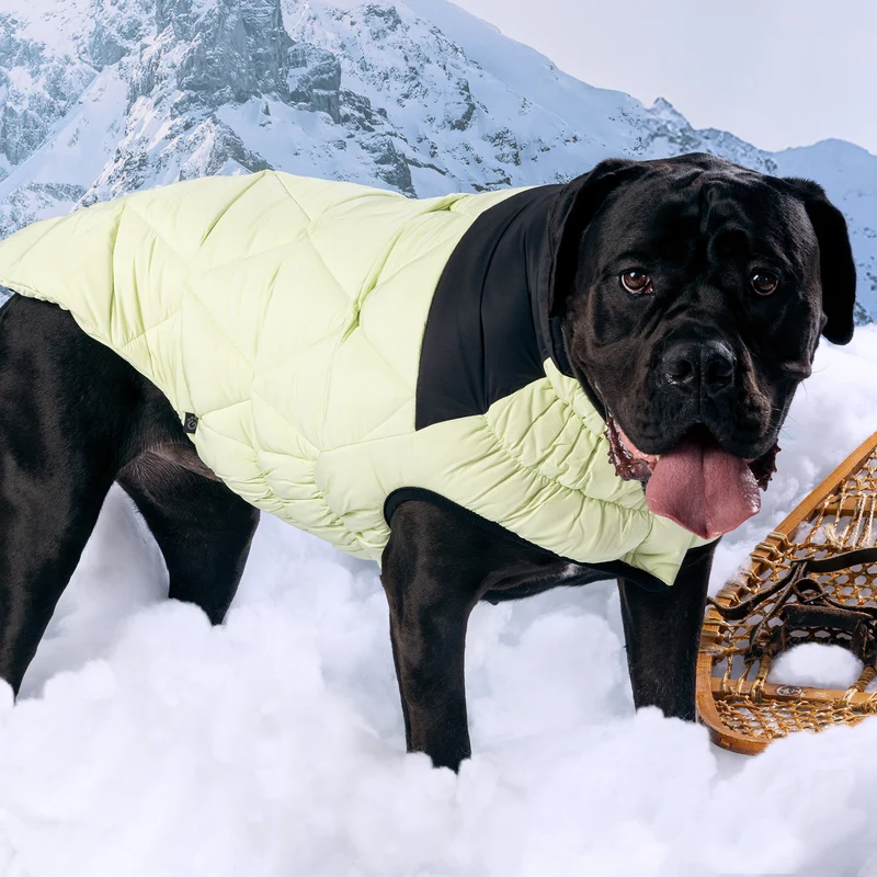 Diamond Dog Puffer | Green