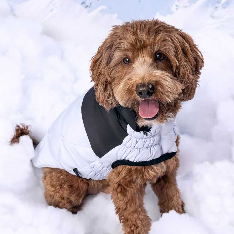 Diamond Dog Puffer | Blue