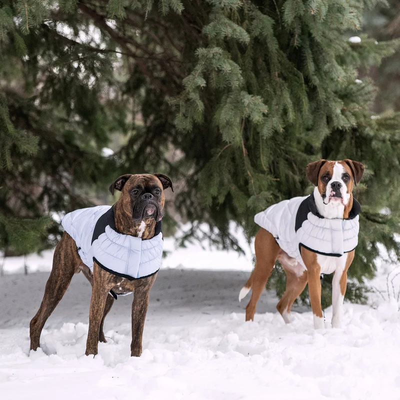 Diamond Dog Puffer | Blue