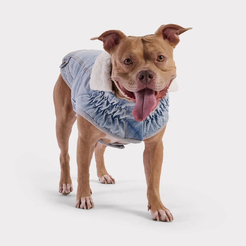 Northside Denim Dog Jacket | Light Wash