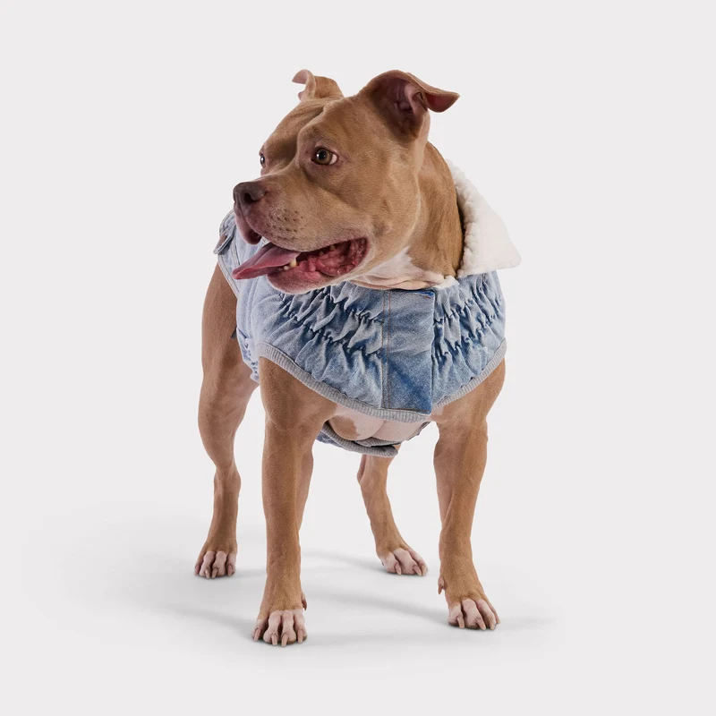 Northside Denim Dog Jacket | Light Wash