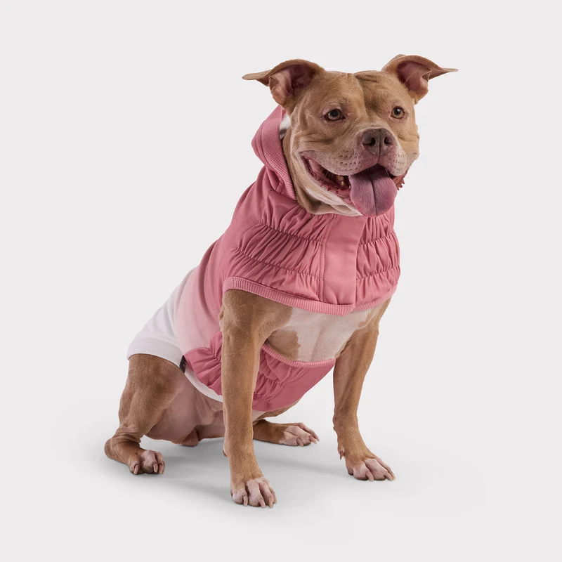 Good Vibes Dog Hoodie | Pink