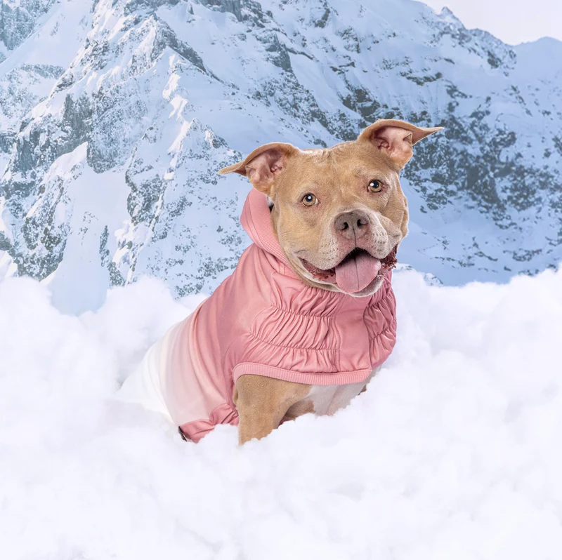 Good Vibes Dog Hoodie | Pink