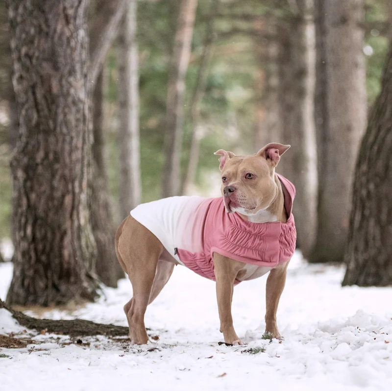 Good Vibes Dog Hoodie | Pink