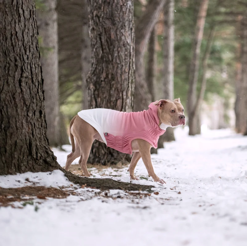 Good Vibes Dog Hoodie | Pink
