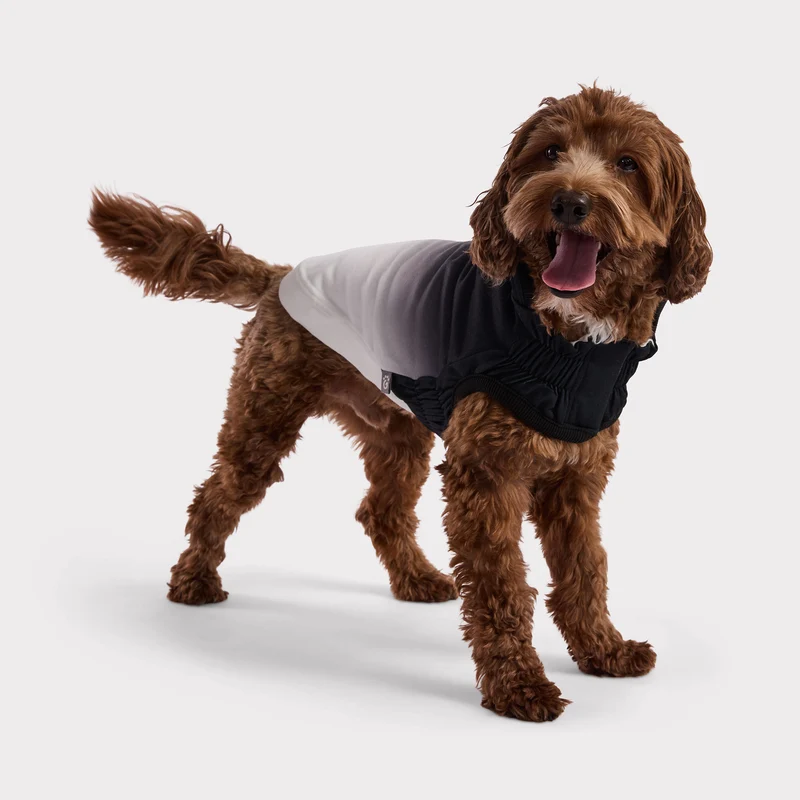 Good Vibes Dog Hoodie | Charcoal