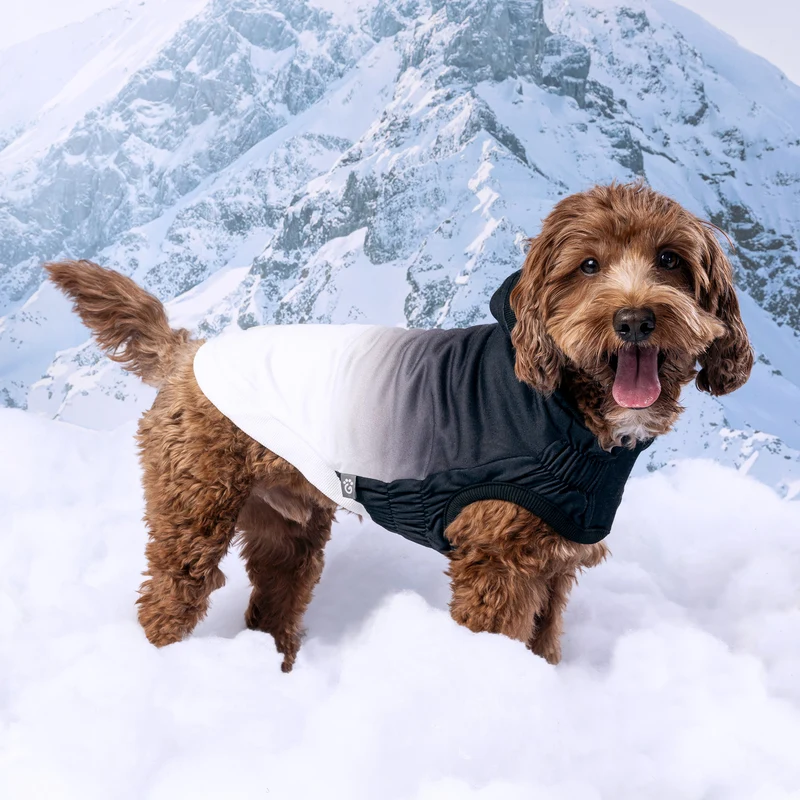 Good Vibes Dog Hoodie | Charcoal