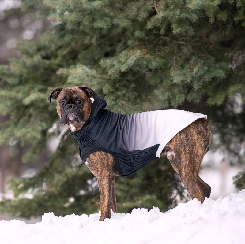 Good Vibes Dog Hoodie | Charcoal