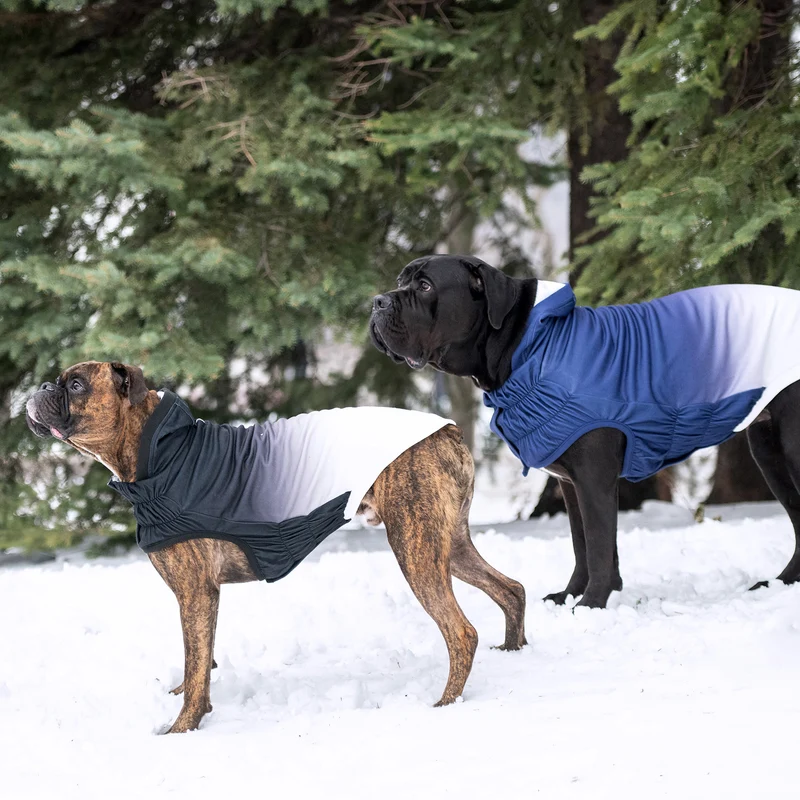 Good Vibes Dog Hoodie | Charcoal