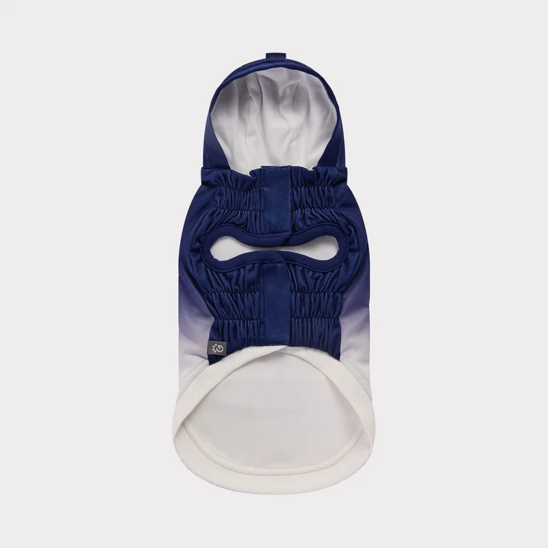 Good Vibes Dog Hoodie | Blue