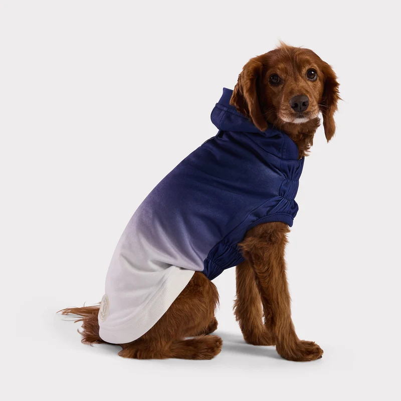 Good Vibes Dog Hoodie | Blue