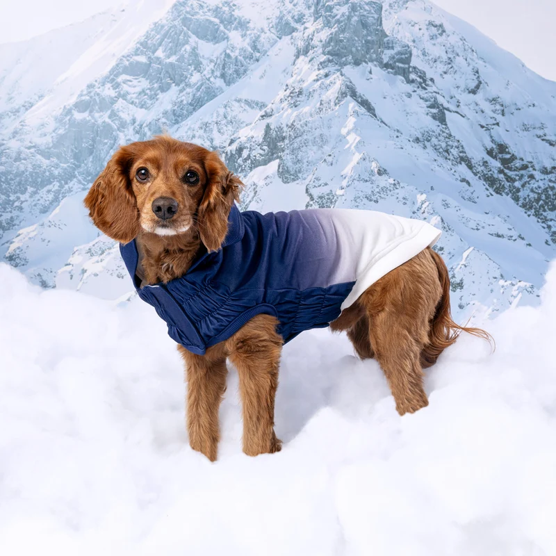 Good Vibes Dog Hoodie | Blue