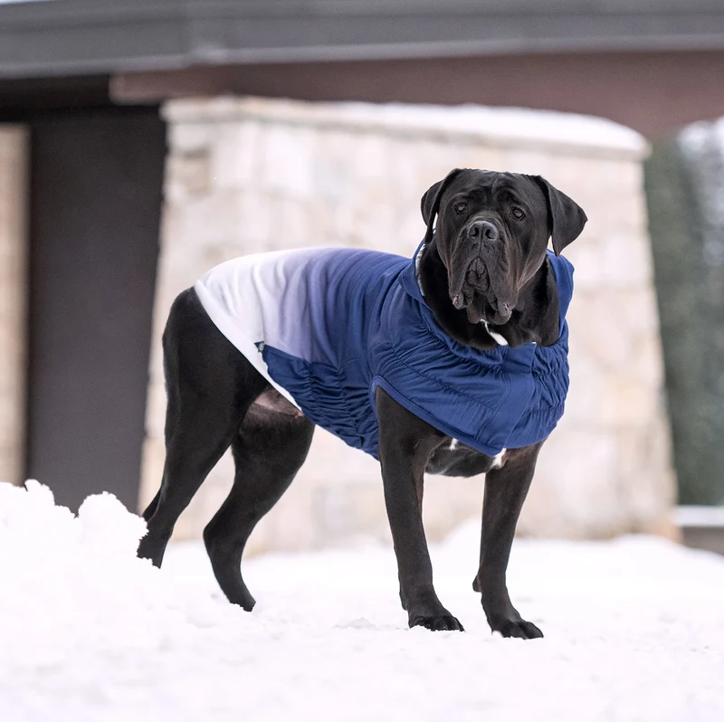 Good Vibes Dog Hoodie | Blue