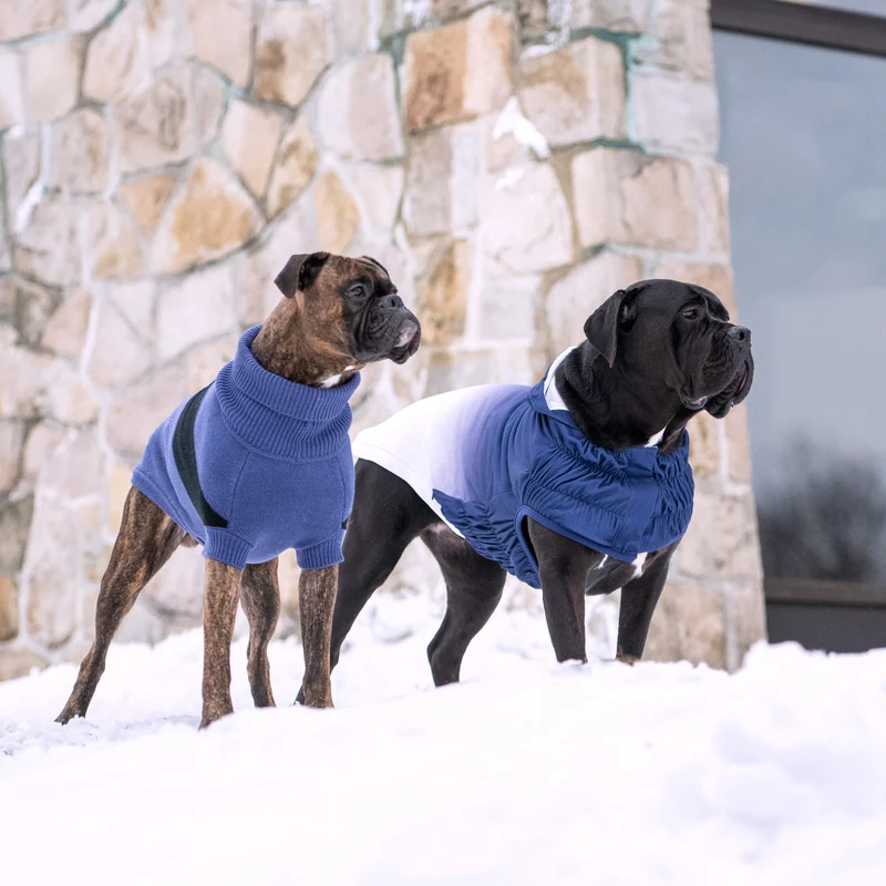 Good Vibes Dog Hoodie | Blue