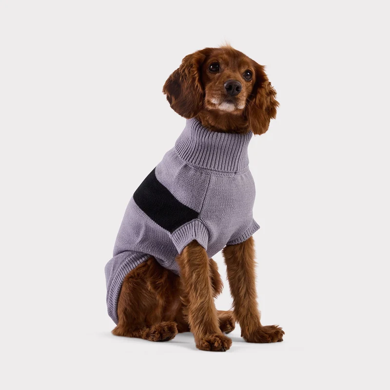 Catalyst Dog Sweater | Grey