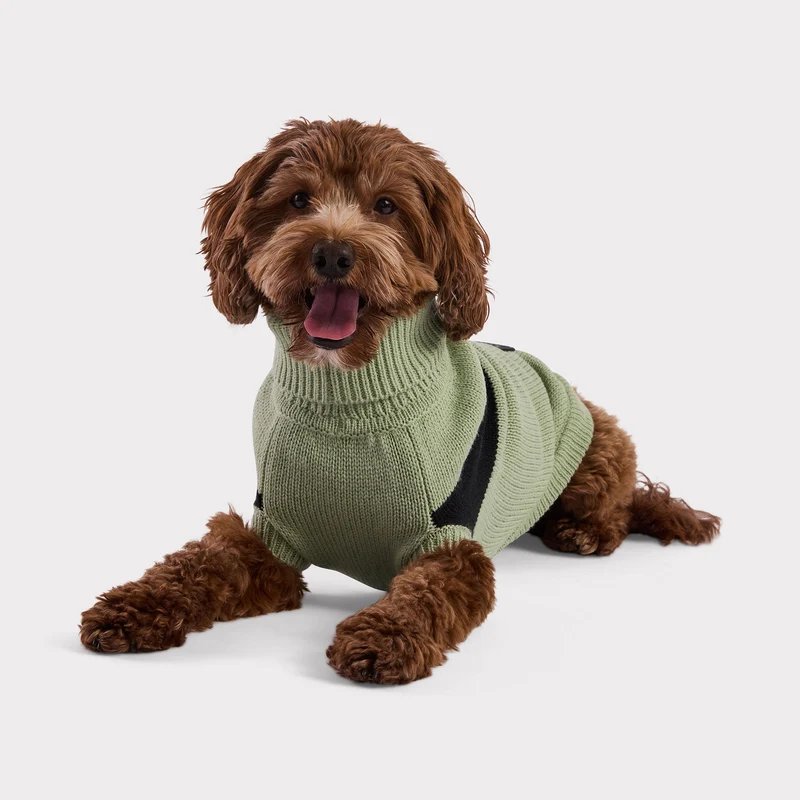 Catalyst Dog Sweater | Green