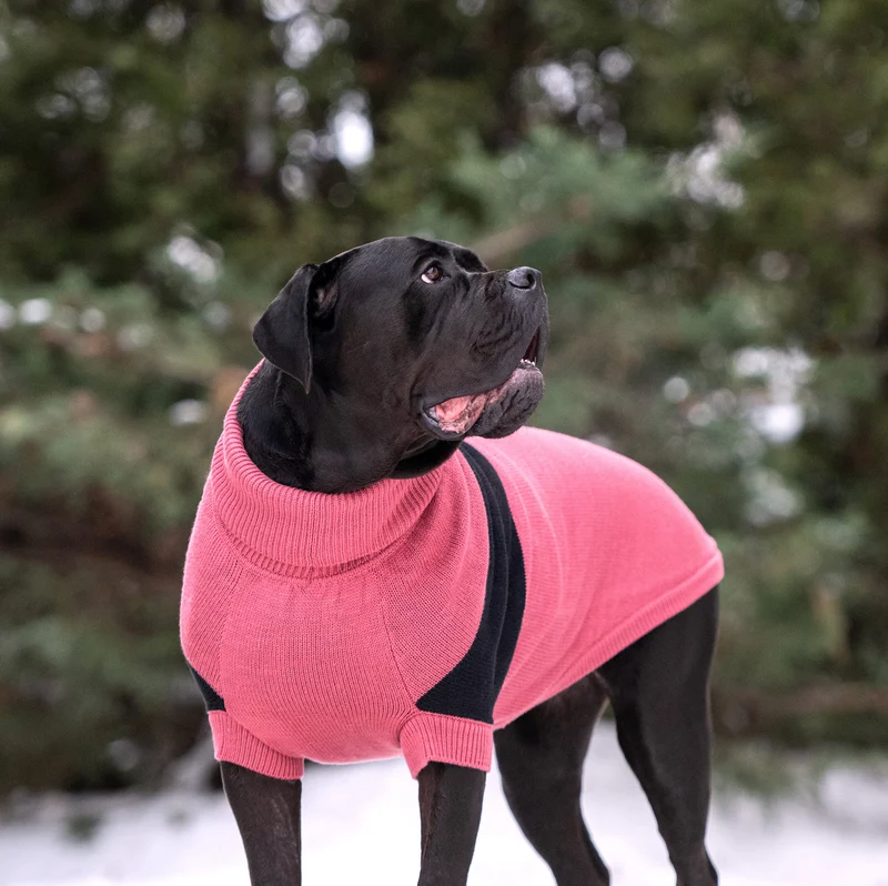 Catalyst Dog Sweater | Pink