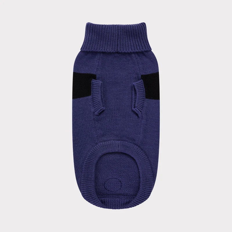 Catalyst Dog Sweater | Blue