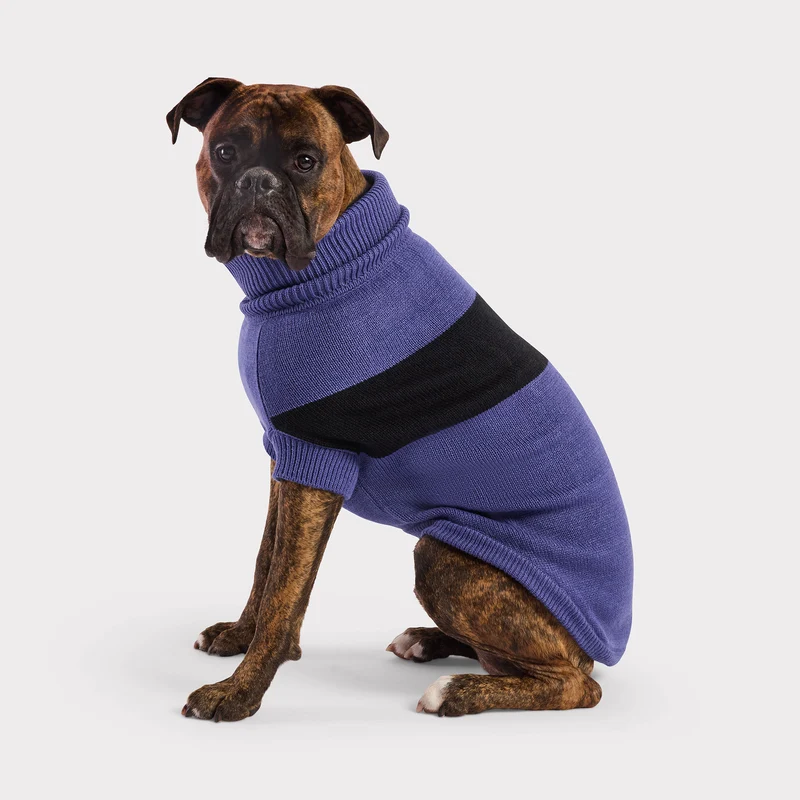 Catalyst Dog Sweater | Blue