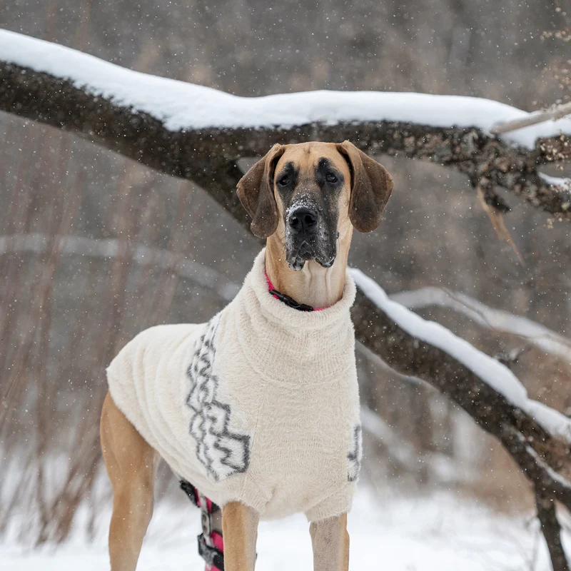 Fuzzy Dog Sweater | Sand