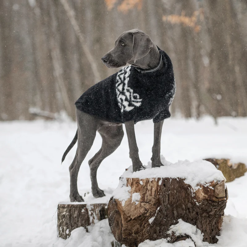 Fuzzy Dog Sweater | Black