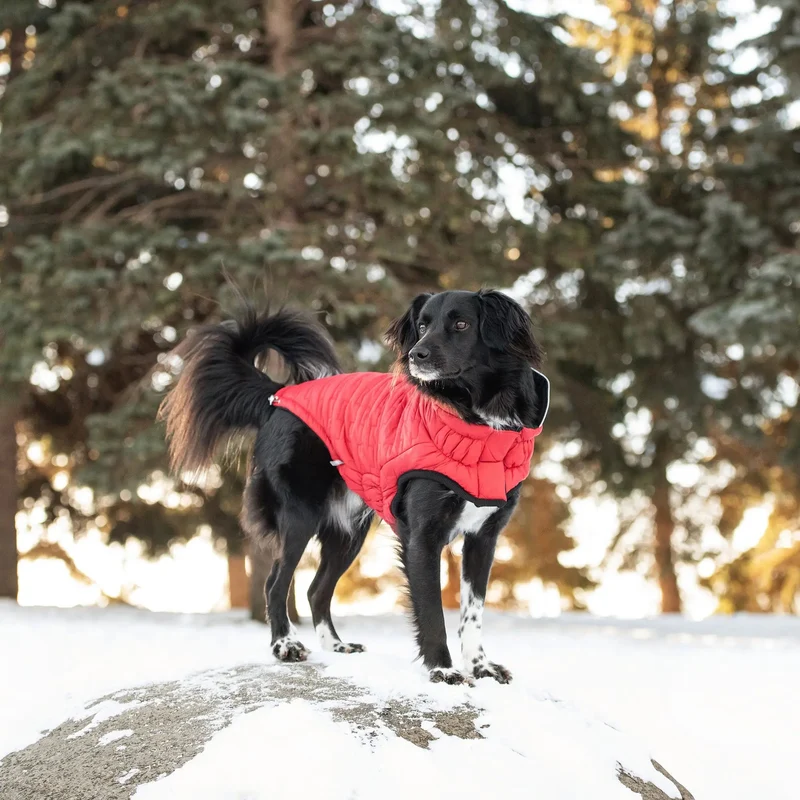 Reversible Chalet Dog Jacket | Red Fleece