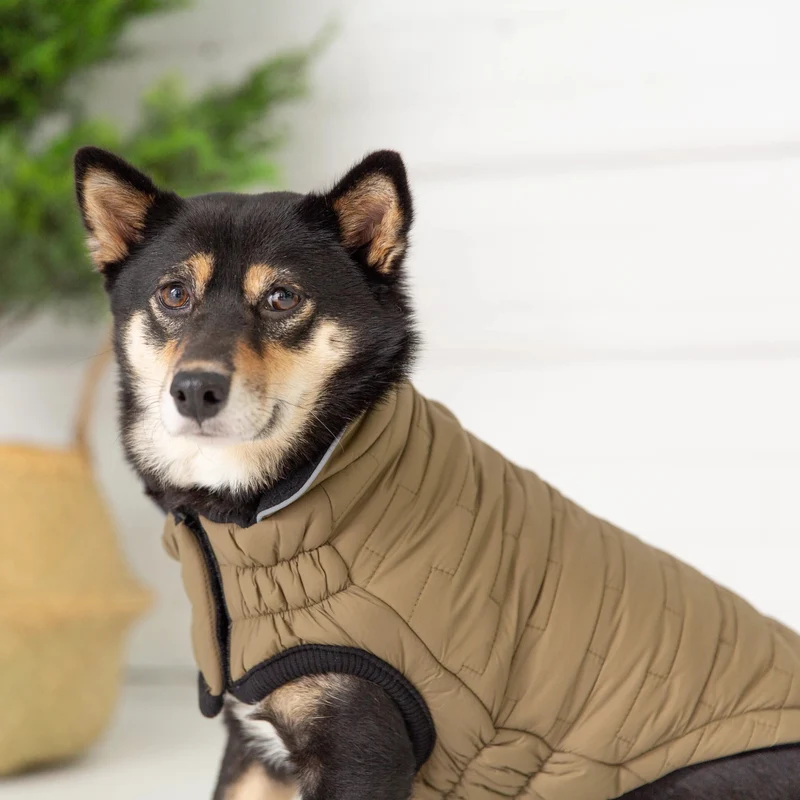 Reversible Chalet Dog Jacket | Khaki Fleece