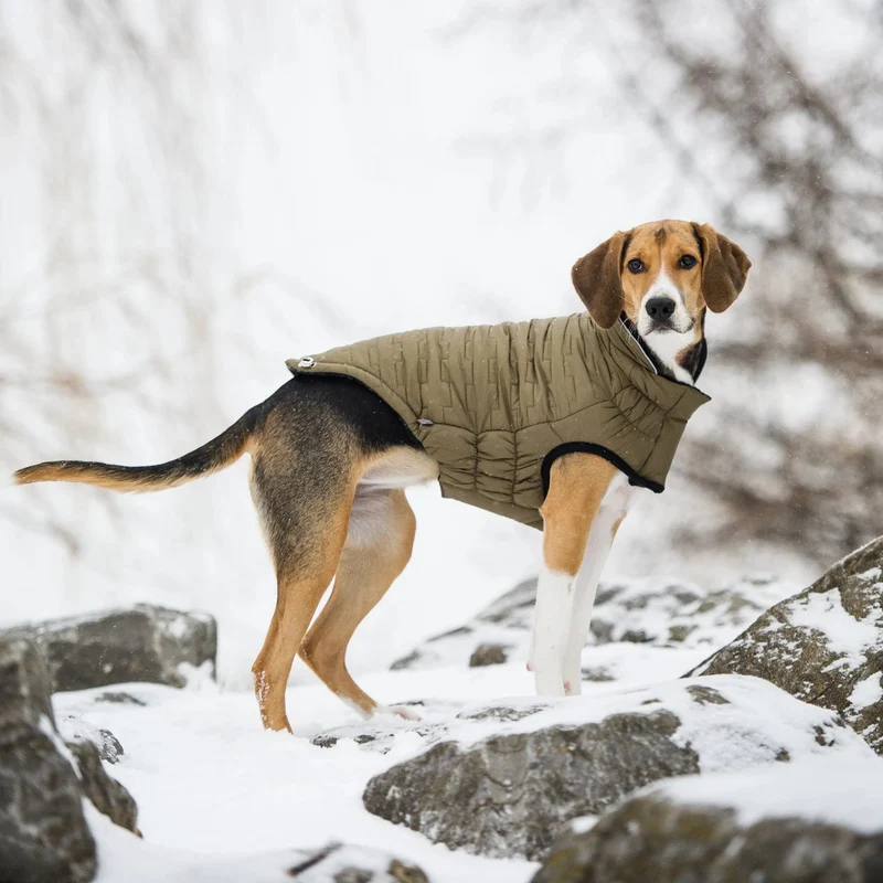 Reversible Chalet Dog Jacket | Khaki Fleece