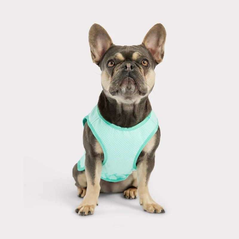 Elasto-Fit® Ice Vest® | Dog Cooling Vest | Aqua