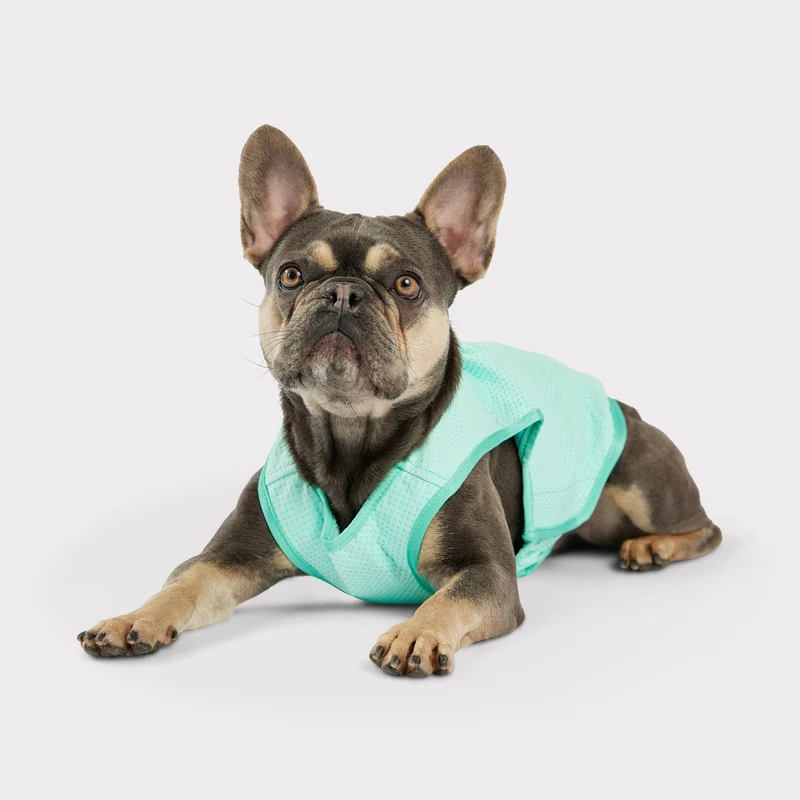 Elasto-Fit® Ice Vest® | Dog Cooling Vest | Aqua